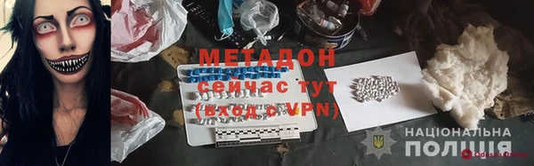шишки Надым