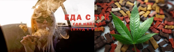 шишки Надым
