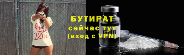 шишки Надым