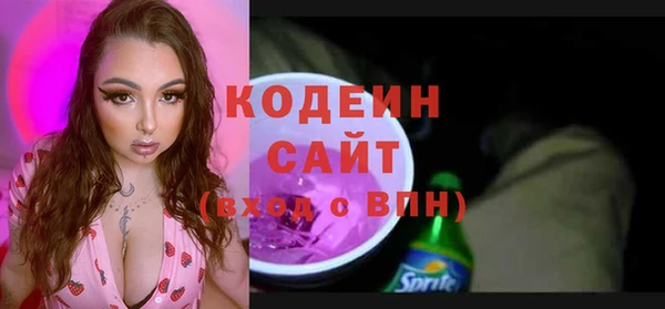 шишки Надым