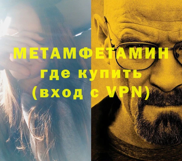 шишки Надым