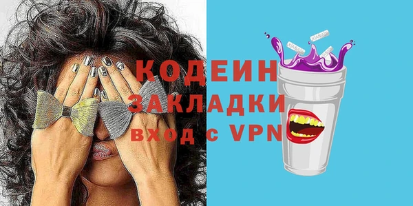 шишки Надым
