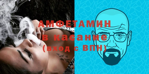 шишки Надым