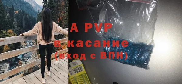 шишки Надым