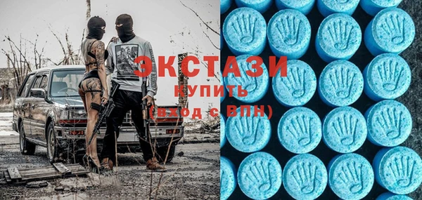 шишки Надым