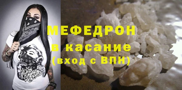 шишки Надым