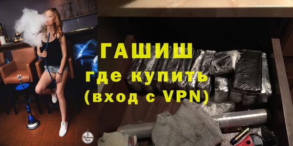 шишки Надым