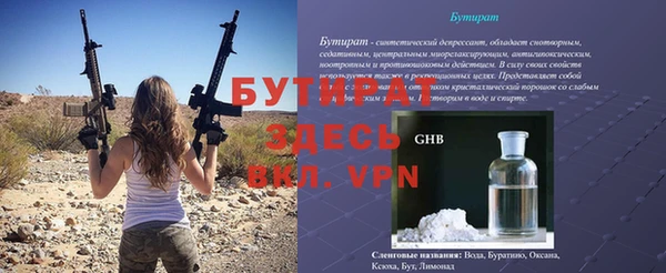 шишки Надым