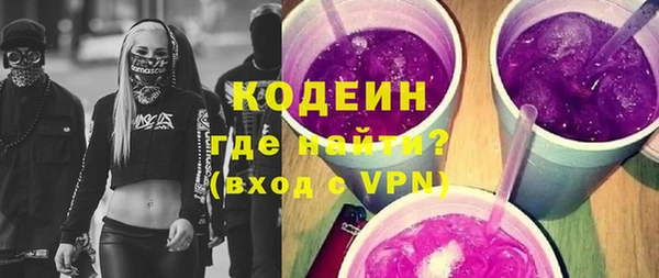 шишки Надым
