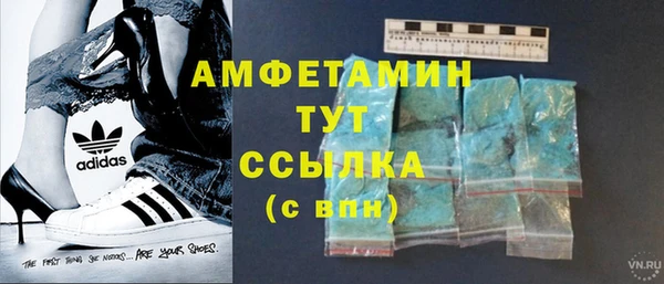 шишки Надым