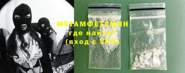 шишки Надым