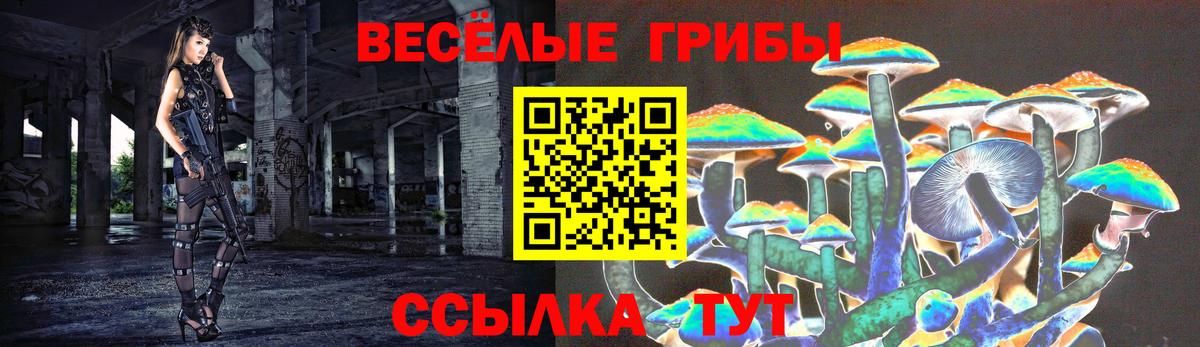 Галлюциногенные грибы MAGIC MUSHROOMS Уварово