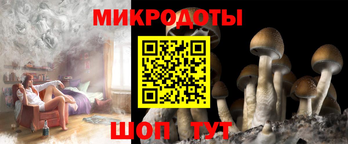 Уварово  Псилоцибиновые грибы Psilocybe  Псилоцибиновые грибы Psilocybe  Вход с VPN 